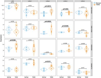 The Expression Patterns and Roles of Lysyl Oxidases in Aortic Dissection